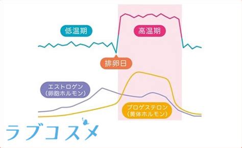 膣キュンとは|85％が経験アリ！子宮が「キュン」としたら恋の始ま。